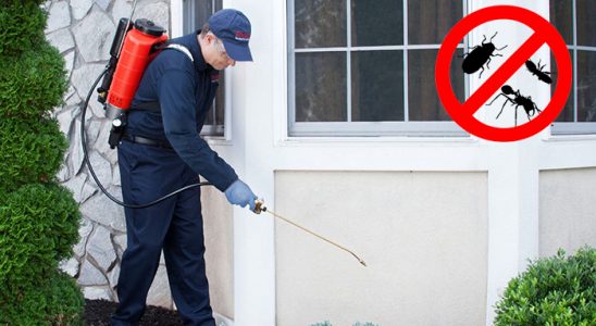 Suluova Karınca İlaçlama böcek ilaçlama ve haşere kontrolü — ilaclama-tr.com